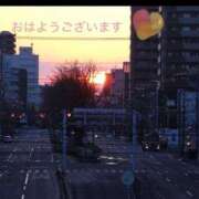 ヒメ日記 2026/03/25 07:42 投稿 宮野　とうこ ソープランド蜜 人妻・美熟女専門店
