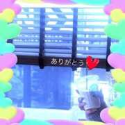 ヒメ日記 2026/03/26 09:52 投稿 宮野　とうこ ソープランド蜜 人妻・美熟女専門店