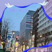 ヒメ日記 2026/04/02 18:42 投稿 宮野　とうこ ソープランド蜜 人妻・美熟女専門店