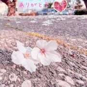 宮野　とうこ 昨日はありがとう ソープランド蜜 人妻・美熟女専門店