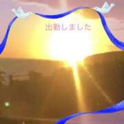 宮野　とうこ 出勤しました ソープランド蜜 人妻・美熟女専門店