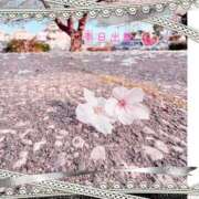 ヒメ日記 2026/04/19 12:25 投稿 宮野　とうこ ソープランド蜜 人妻・美熟女専門店
