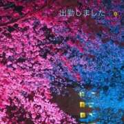 ヒメ日記 2026/04/24 19:23 投稿 宮野　とうこ ソープランド蜜 人妻・美熟女専門店