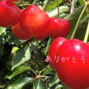 ヒメ日記 2026/07/11 15:32 投稿 宮野　とうこ ソープランド蜜 人妻・美熟女専門店