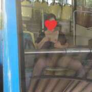 ヒメ日記 2025/03/28 12:18 投稿 みゆき 人妻美人館