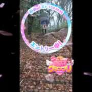 ヒメ日記 2025/04/11 08:37 投稿 みゆき 人妻美人館