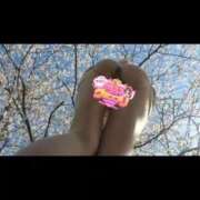 ヒメ日記 2025/04/12 16:38 投稿 みゆき 人妻美人館