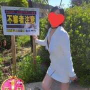 ヒメ日記 2025/05/01 09:39 投稿 みゆき 人妻美人館