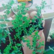 ヒメ日記 2025/05/07 12:02 投稿 みゆき 人妻美人館