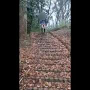 ヒメ日記 2025/05/19 23:48 投稿 みゆき 人妻美人館