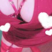 ヒメ日記 2025/11/13 12:21 投稿 片瀬★ プリマドンナ