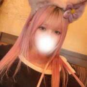 ヒメ日記 2025/02/19 18:01 投稿 せら ちゃんこ本厚木店