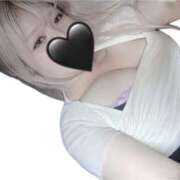 ヒメ日記 2025/05/29 08:15 投稿 せら ちゃんこ本厚木店