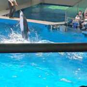 ヒメ日記 2025/09/20 15:36 投稿 優奈(ゆな) 八王子人妻城