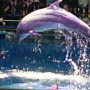 ヒメ日記 2025/09/21 14:36 投稿 優奈(ゆな) 八王子人妻城