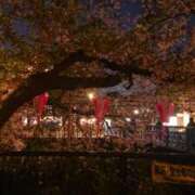 ヒメ日記 2026/04/12 20:57 投稿 優奈(ゆな) 八王子人妻城