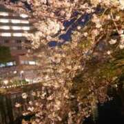 ヒメ日記 2026/04/13 03:18 投稿 優奈(ゆな) 八王子人妻城