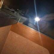 ヒメ日記 2025/06/24 03:15 投稿 ひなた おねだり！ココナッツ