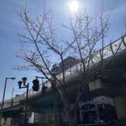ヒメ日記 2026/04/11 00:36 投稿 もか ごほうびSPA 大阪店