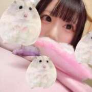 ヒメ日記 2025/01/06 17:41 投稿 いちか 船橋ときめき女学園