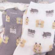 ヒメ日記 2025/03/05 20:31 投稿 いちか 船橋ときめき女学園