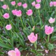 ヒメ日記 2025/04/10 16:21 投稿 いちか 船橋ときめき女学園