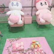 ヒメ日記 2025/04/12 12:51 投稿 いちか 船橋ときめき女学園