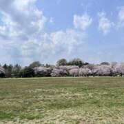 ヒメ日記 2025/04/15 12:03 投稿 いちか 船橋ときめき女学園