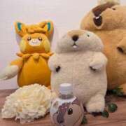 ヒメ日記 2025/07/17 15:51 投稿 いちか 船橋ときめき女学園