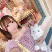 ヒメ日記 2025/10/03 08:11 投稿 いちか 船橋ときめき女学園