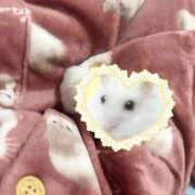 ヒメ日記 2025/11/05 08:31 投稿 いちか 船橋ときめき女学園