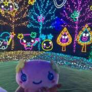 ヒメ日記 2025/12/20 20:11 投稿 いちか 船橋ときめき女学園