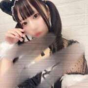 ヒメ日記 2025/12/23 20:09 投稿 いちか 船橋ときめき女学園