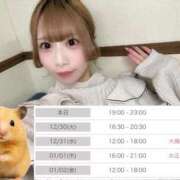 ヒメ日記 2025/12/29 02:36 投稿 いちか 船橋ときめき女学園