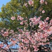 ヒメ日記 2025/03/25 12:02 投稿 まりの 熟女家 ミナミエリア店