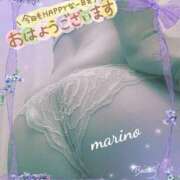 ヒメ日記 2026/02/20 09:05 投稿 まりの 熟女家 ミナミエリア店