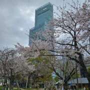 ヒメ日記 2026/04/01 18:05 投稿 まりの 熟女家 ミナミエリア店