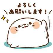 ヒメ日記 2025/01/11 20:57 投稿 えいみ『ぽっちゃりコース』 素人学園＠