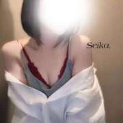 ヒメ日記 2025/02/03 20:01 投稿 せいか スパーク日本橋