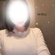 ヒメ日記 2025/02/26 14:56 投稿 せいか スパーク日本橋