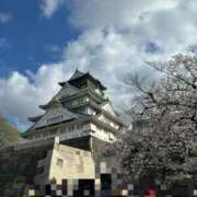 ヒメ日記 2025/04/03 19:06 投稿 せいか スパーク日本橋