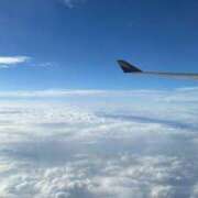 ヒメ日記 2025/08/06 11:23 投稿 せいか スパーク日本橋