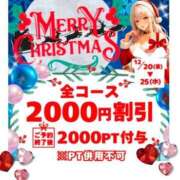 ヒメ日記 2024/12/20 15:45 投稿 ちはや 即アポマダム～名古屋店～