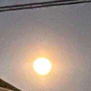 ヒメ日記 2025/01/15 21:26 投稿 ちはや 即アポマダム～名古屋店～