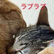 ヒメ日記 2025/02/11 21:41 投稿 ちはや 即アポマダム～名古屋店～