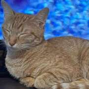 ヒメ日記 2025/03/17 22:01 投稿 ちはや 即アポマダム～名古屋店～