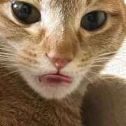 ヒメ日記 2025/05/01 02:21 投稿 ちはや 即アポマダム～名古屋店～