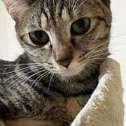 ヒメ日記 2025/05/10 00:51 投稿 ちはや 即アポマダム～名古屋店～