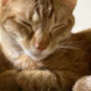 ヒメ日記 2025/05/13 02:01 投稿 ちはや 即アポマダム～名古屋店～