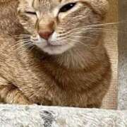 ヒメ日記 2025/06/03 01:26 投稿 ちはや 即アポマダム～名古屋店～